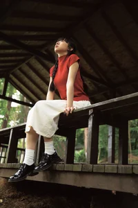 Shi San Jin Ya in the Bold Red YiTuYu Art Language Vol.7415 - image 15