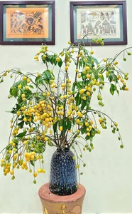Unique Fruit-Shaped Decorative Vases: The Latest Home Decor Trend for Modern Interiors - image 1