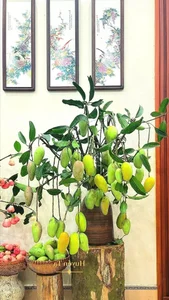 Unique Fruit-Shaped Decorative Vases: The Latest Home Decor Trend for Modern Interiors - image 2