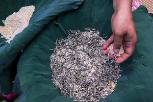The Ancient Craft of Vietnamese Lotus Tea: A Luxury Tradition in Hanoi - image 8