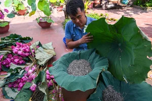 The Ancient Craft of Vietnamese Lotus Tea: A Luxury Tradition in Hanoi - image 4