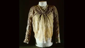 The Tarkhan Dress: Unveiling 5,000 Years of Ancient Fashion Trends and Textile History - image 6