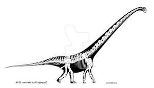 Meet Mamenchisaurus: The Majestic 10-Meter Long-Necked Giant of the Jurassic - image 1