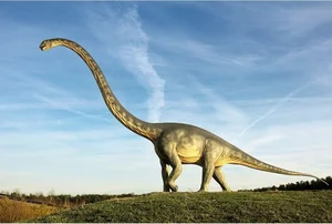 Meet Mamenchisaurus: The Majestic 10-Meter Long-Necked Giant of the Jurassic - image 4