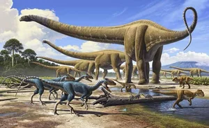 Meet Mamenchisaurus: The Majestic 10-Meter Long-Necked Giant of the Jurassic - image 2