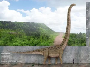 Meet Mamenchisaurus: The Majestic 10-Meter Long-Necked Giant of the Jurassic - image 5