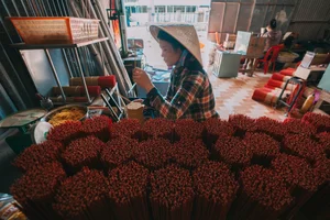Exploring the Heritage Incense Village in Tay Ninh: A Cultural Treasure of Vietnam - image 0