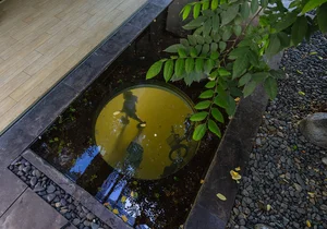Exploring the Breathtaking Green Villa in Bac Giang: Innovation Meets Traditional Vietnamese Inspiration - image 0