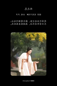 YiTuYu Art Language Vol.6437: The Artistry of Nu Li Hua Zhuang De Sui Sui - image 19