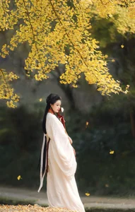 YiTuYu Art Language Vol.6437: The Artistry of Nu Li Hua Zhuang De Sui Sui - image 3