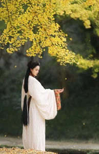 YiTuYu Art Language Vol.6437: The Artistry of Nu Li Hua Zhuang De Sui Sui - image 4
