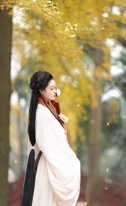 YiTuYu Art Language Vol.6437: The Artistry of Nu Li Hua Zhuang De Sui Sui - image 5