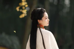 YiTuYu Art Language Vol.6437: The Artistry of Nu Li Hua Zhuang De Sui Sui - image 16