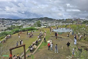 Romantic Da Lat: Capturing the Timeless Beauty of Vietnam's Misty Highland City - image 2