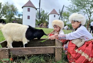 Romantic Da Lat: Capturing the Timeless Beauty of Vietnam's Misty Highland City - image 11