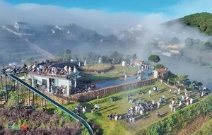 Romantic Da Lat: Capturing the Timeless Beauty of Vietnam's Misty Highland City - image 8
