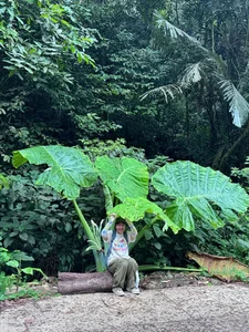 Essential Travel Advice for Visiting Cuc Phuong National Park - image 1
