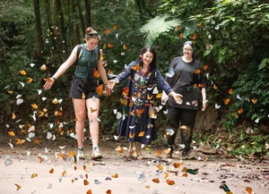 Essential Travel Advice for Visiting Cuc Phuong National Park - image 0