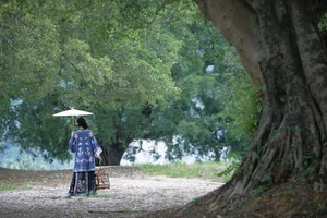 Timeless Elegance: Xin Xin in YiTuYu Art Language Vol.8883 - image 24
