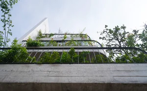 V1 House in Vinh: A 4-Story Townhouse Blending Open Architecture and Heritage - image 11