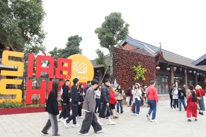 Ninh Binh Welcomes Tens of Thousands to Its Heritage Sites - image 1