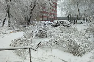 Unexpected Spring Snowfall Grips Moscow and Suburbs, Causing Transport Delays - image 7