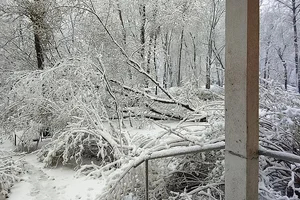 Unexpected Spring Snowfall Grips Moscow and Suburbs, Causing Transport Delays - image 5