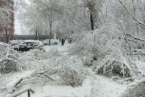 Unexpected Spring Snowfall Grips Moscow and Suburbs, Causing Transport Delays - image 0