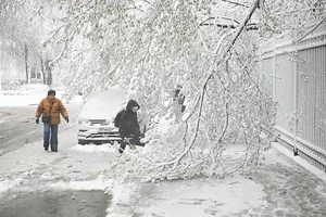 Unexpected Spring Snowfall Grips Moscow and Suburbs, Causing Transport Delays - image 9
