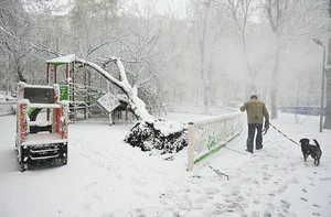 Unexpected Spring Snowfall Grips Moscow and Suburbs, Causing Transport Delays - image 6