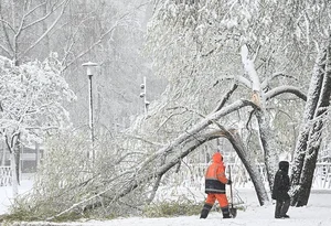 Unexpected Spring Snowfall Grips Moscow and Suburbs, Causing Transport Delays - image 2
