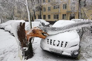 Unexpected Spring Snowfall Grips Moscow and Suburbs, Causing Transport Delays - image 3