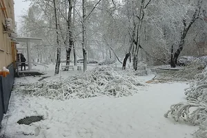 Unexpected Spring Snowfall Grips Moscow and Suburbs, Causing Transport Delays - image 1