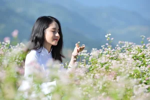Elegant Beauty Gallery: Tran Thu Trang Amidst the Breathtaking Buckwheat Flower Fields of the Highlands - image 12