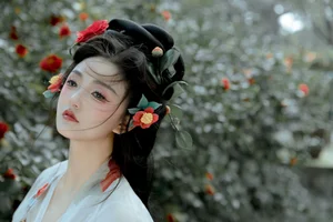 The Graceful Artistry of Hua Li: Art Language Vol.6491 - image 6