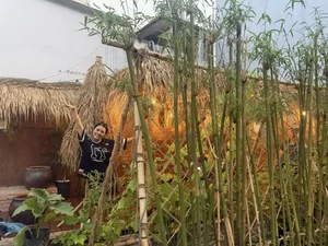 Inside the Peaceful Country-Style Home of a Famous Vietnamese Singer - image 4