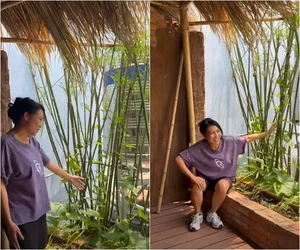 Inside the Peaceful Country-Style Home of a Famous Vietnamese Singer - image 1