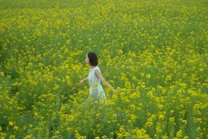 YiTuYu Art Language Vol.10186 Featuring Xin Jie: A Stunning 33-Page Visual Gallery - image 30