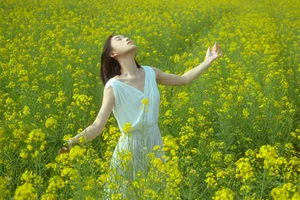 YiTuYu Art Language Vol.10186 Featuring Xin Jie: A Stunning 33-Page Visual Gallery - image 3