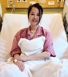 Diva Hong Nhung Opens Up About Health Challenges and Planning for Her Children's Future - image 4